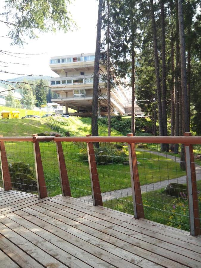 Sul Cucuzzolo Apartment มาริลเลวา ภายนอก รูปภาพ
